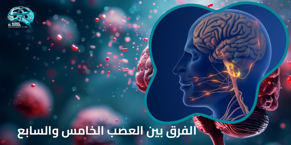 الفرق بين العصب الخامس والسابع