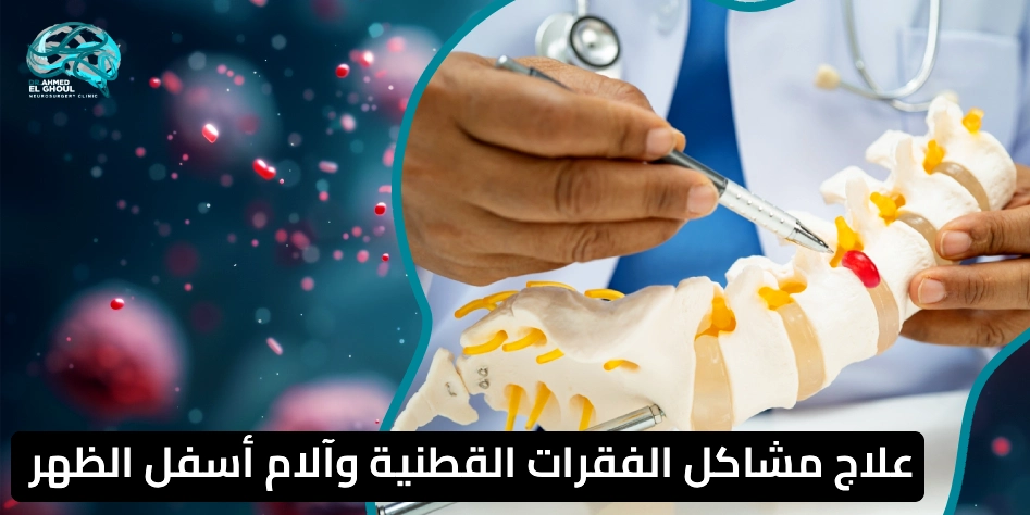 الفقرات القطنية وأهميتها وأشهر مشكلاتها